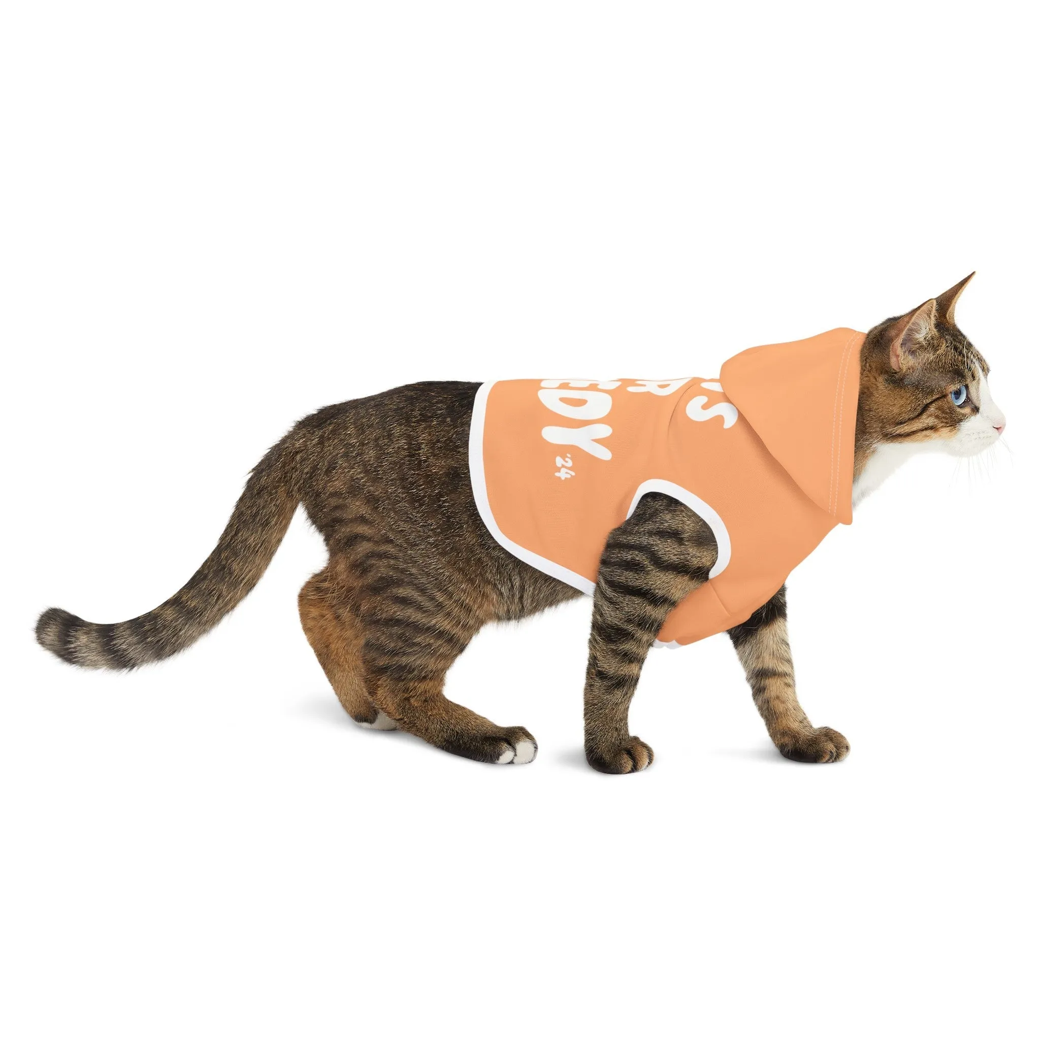 Cats for Kennedy Pet Hoodie