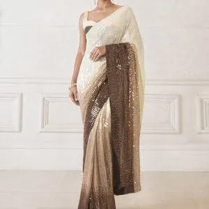 Double Sequence Saree