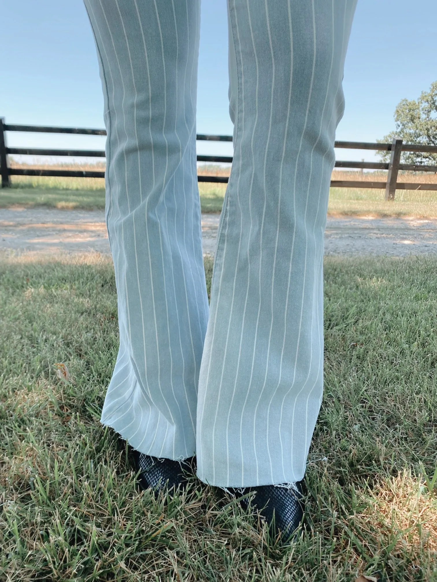 High Rise Stripe Straight Cut Hem Super Flare Jeans