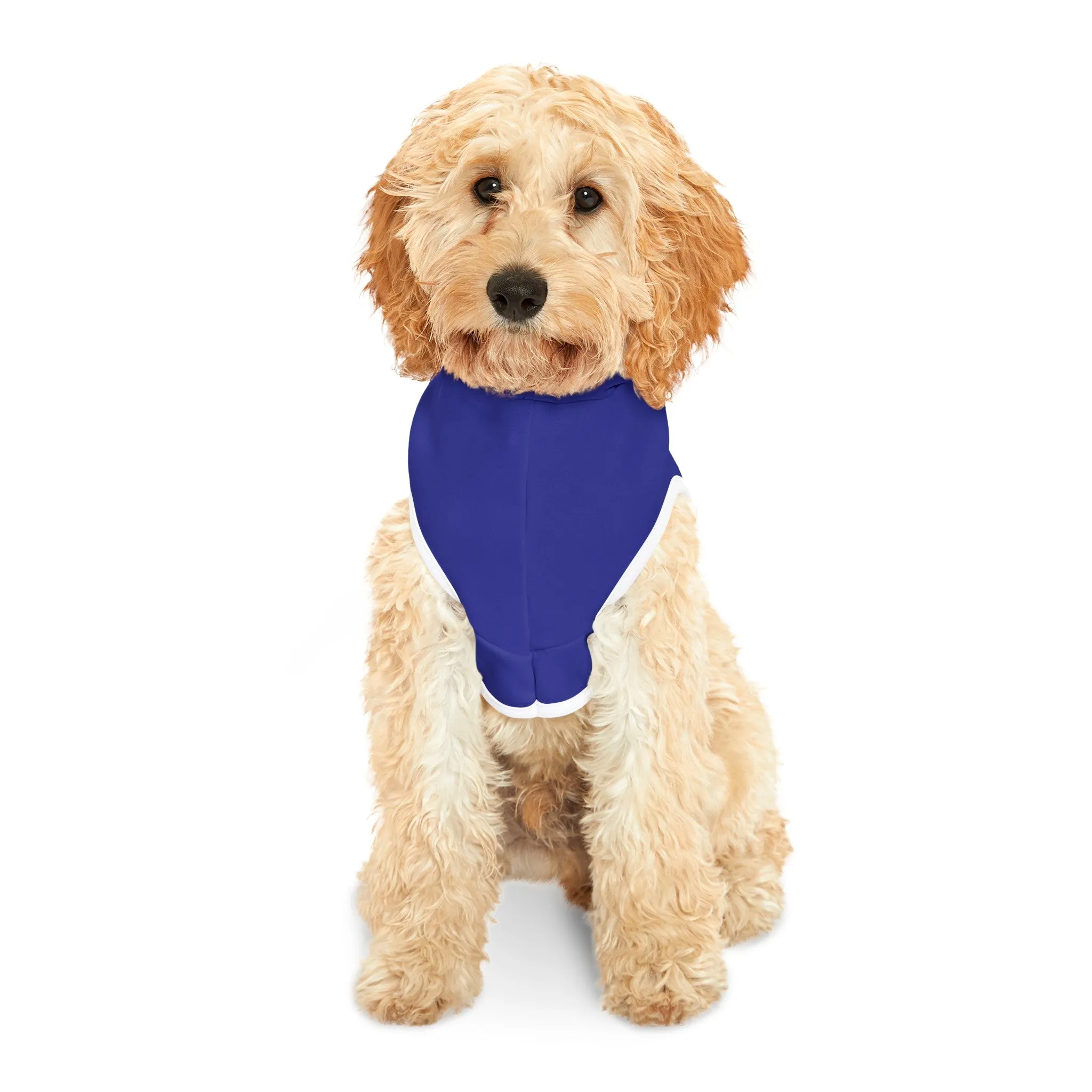 Kennedy Classic Pet Hoodie in Blue